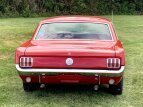 Thumbnail Photo 148 for 1966 Ford Mustang Coupe